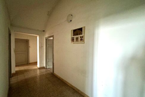 WhatsApp Image 2025-09-15 at 12.24.00 (3)